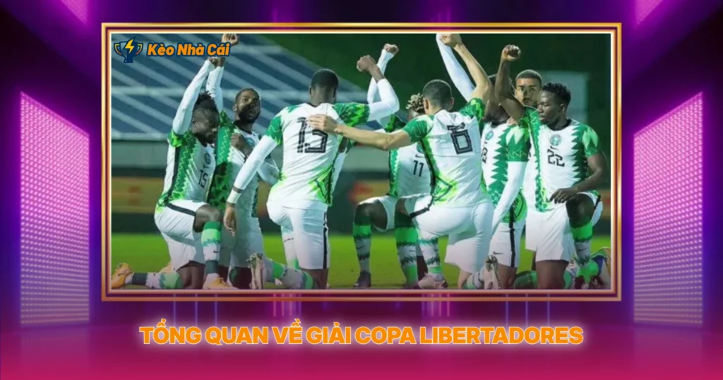 Tổng Quan Về Giải Copa Libertadores